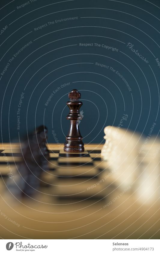 Ein König in Mitte von Bauern Schach Spielen Dominanz Spalier