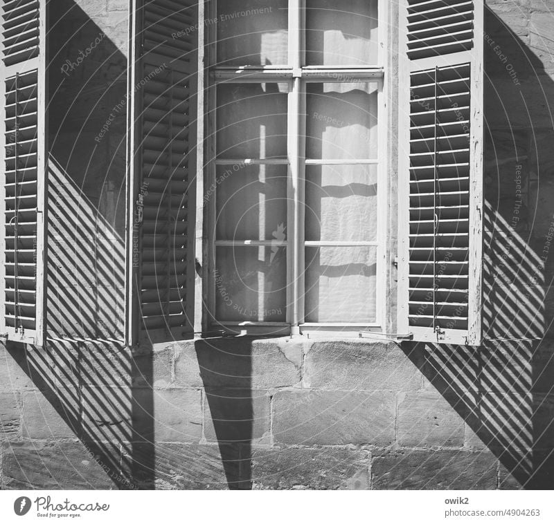 Halb offen Schwarzweißfoto Fenster Schattenspiel Muster abstrakt Detailaufnahme Strukturen & Formen Kontrast Licht Tag Lichterscheinung Zebrastreifen parallel