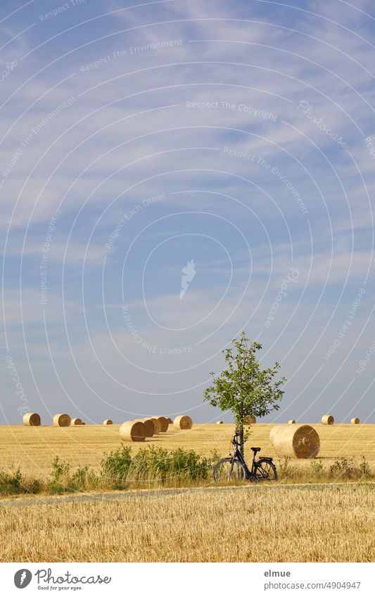 Ein Damenfahrrad lehnt an einem kleinen Baum am Rand eines Weges zwischen Stoppelfeldern mit runden Strohballen vor blauem Himmel mit Schönwetterwolken / Sommer