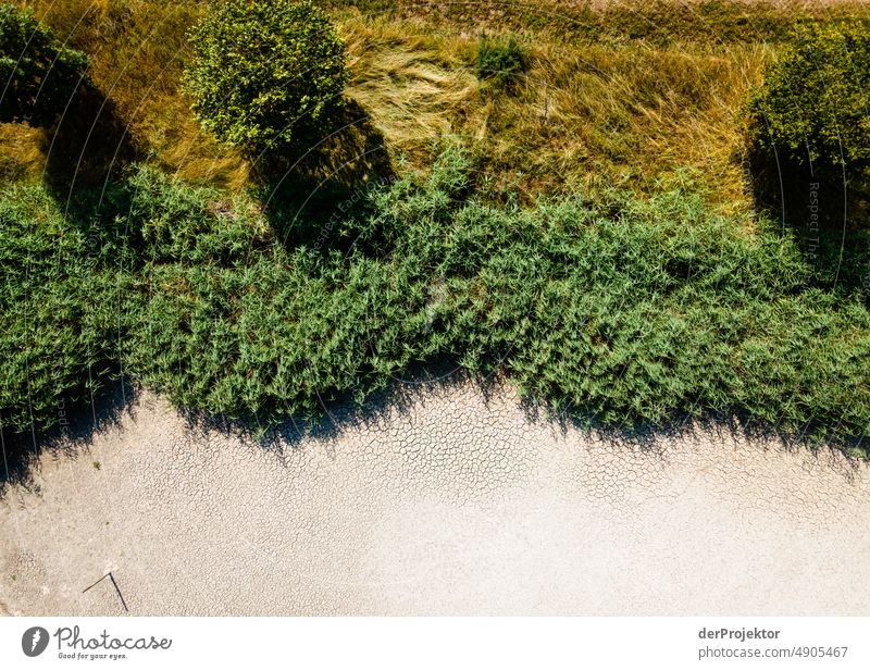 Ausgetrockneter See mit Randbegrünung in Bayern/Franken Riss Wüste Dürre Wetter Erwärmung Oberfläche Sommer heiß braun Boden Muster Menschenleer Außenaufnahme