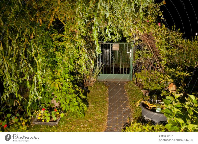 Garten am Abend abend angeblitzt ast baum dunkel dämmerung erholung ferien garten hecke kleingarten kleingartenkolonie menschenleer nachbarschaft nacht nachts