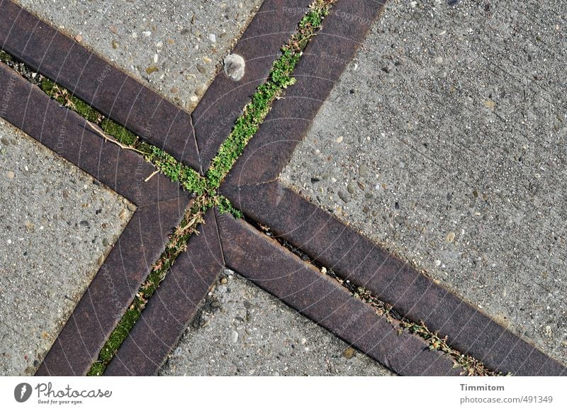 Unten. Industrie Gras Beton Metall sportlich grau grün Kreuz Bodenbelag Bodenplatten unten Fleck fest Linie Farbfoto Gedeckte Farben Außenaufnahme Menschenleer