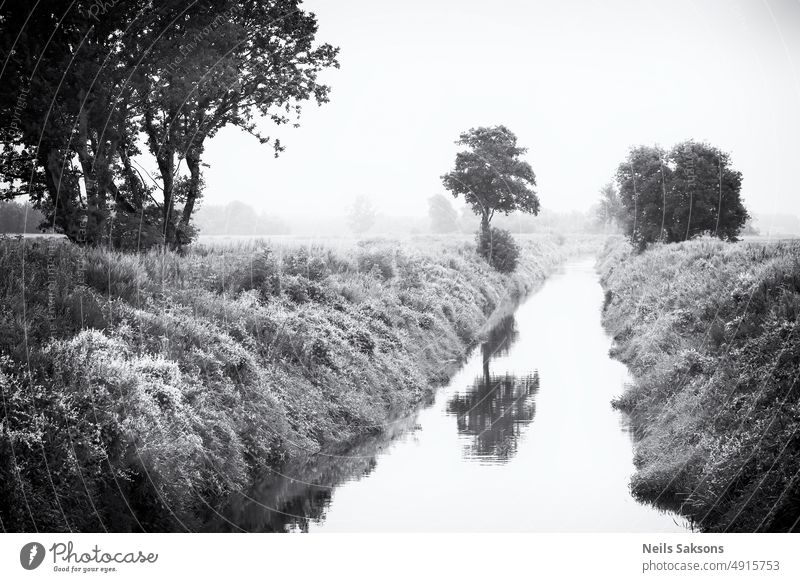 Winter im Sommer Fluss Gras mono Monochrom Bäume Reflexion & Spiegelung Nebel Dunst gerade Regie Perspektive Natur Landschaft malerisch im Freien Wasser Wald