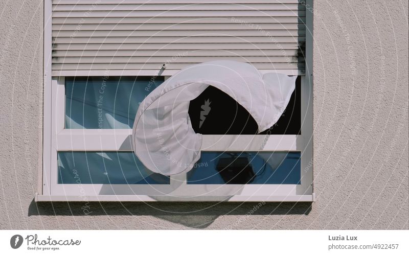 Eine weiße Gardine weht im Wind aus dem Fenster durchsichtig Textilien Sichtschutz Wohnung Falte hängen Faltenwurf Sonnenlicht Häusliches Leben Vorhang Licht