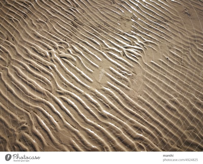 Gezeiten nordsee sand strand gezeiten ebbe flut Detailaufnahme detail abstrakt Form Formen und Strukturen sandig urlaub st. peter ording