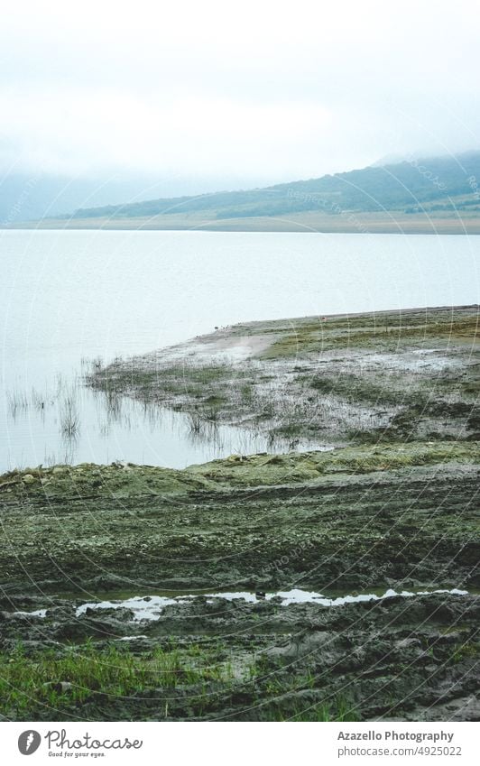 Schlammiges Seeufer Kunst Hintergrund Strand schön Windstille Ruhe Küste Schmutz dreckig trocknen ökologisch Ökologie Umwelt Bildende Kunst Gras Insel