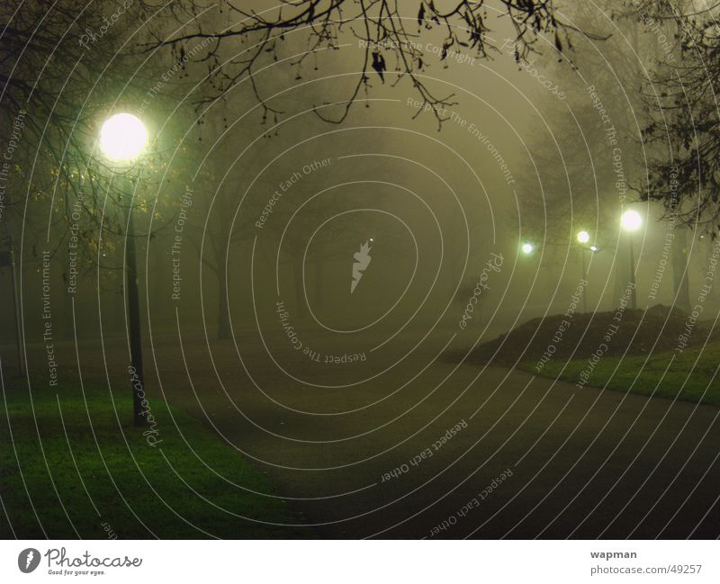 Olympiapark im Nebel Nacht dunkel gruselig Straßenbeleuchtung Baum München Langzeitbelichtung