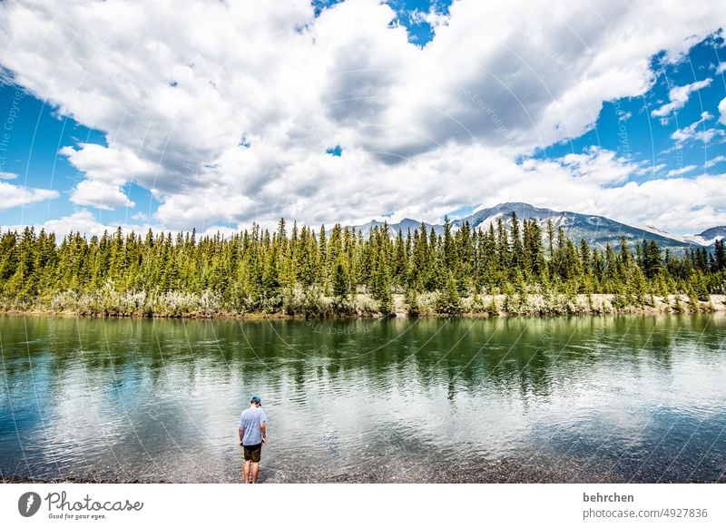 alles ist im fluss Wasser Abenteuer Bäume Wald Ferne Fluss Ferien & Urlaub & Reisen Fernweh Banff National Park Alberta Rocky Mountains Nordamerika canmore