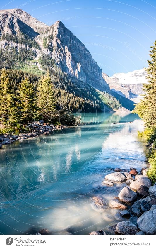 immer wieder kanada Natur Kanada See Alberta Lake Louise Rocky Mountains Nordamerika Bergsee Banff National Park Gletscher