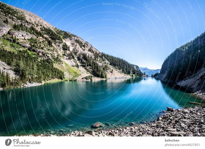 es war einmal in kanada Alberta Landschaft See Berge u. Gebirge Kanada Rocky Mountains Ferne Fernweh Bergsee Banff National Park Einsamkeit friedlich stille