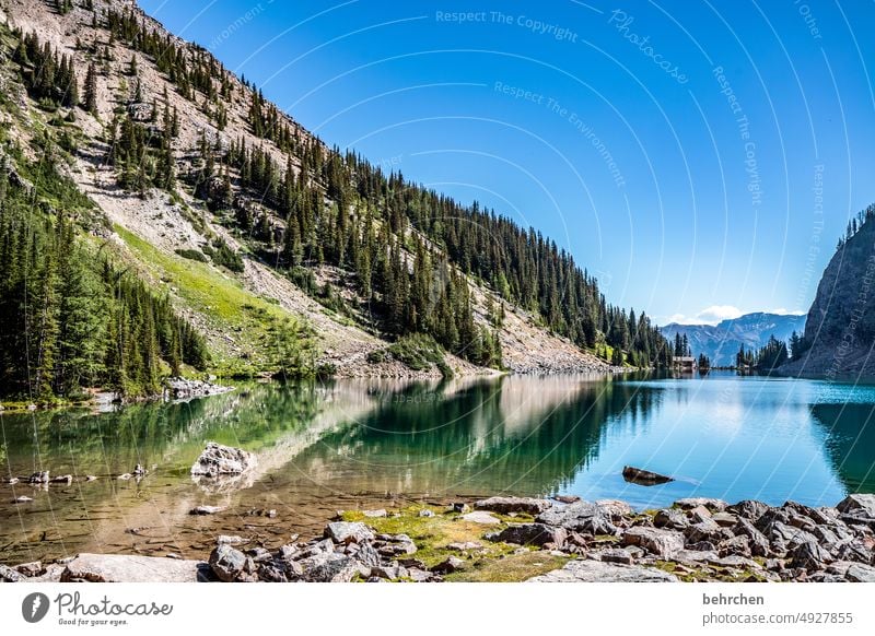 es war einmal in kanada Alberta Landschaft See Berge u. Gebirge Kanada Rocky Mountains Ferne Fernweh Bergsee Banff National Park Einsamkeit friedlich stille