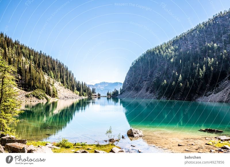 still ruht der see Reflexion & Spiegelung Wasser Lake Agnes stille friedlich Einsam Einsamkeit Banff National Park Bergsee Fernweh Ferne Rocky Mountains Kanada