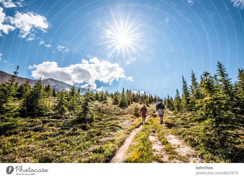 sterngeschichten Jasper National Park Familie & Verwandtschaft Wolken Freiheit Abenteuer Sohn wandern Kanada Berge u. Gebirge Wald Bäume Landschaft Nordamerika