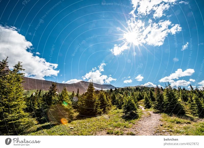 es war einmal in kanada Jasper National Park Wolken wandern Kanada Abenteuer Berge u. Gebirge Wald Bäume Landschaft Nordamerika Rocky Mountains Fernweh Ferne