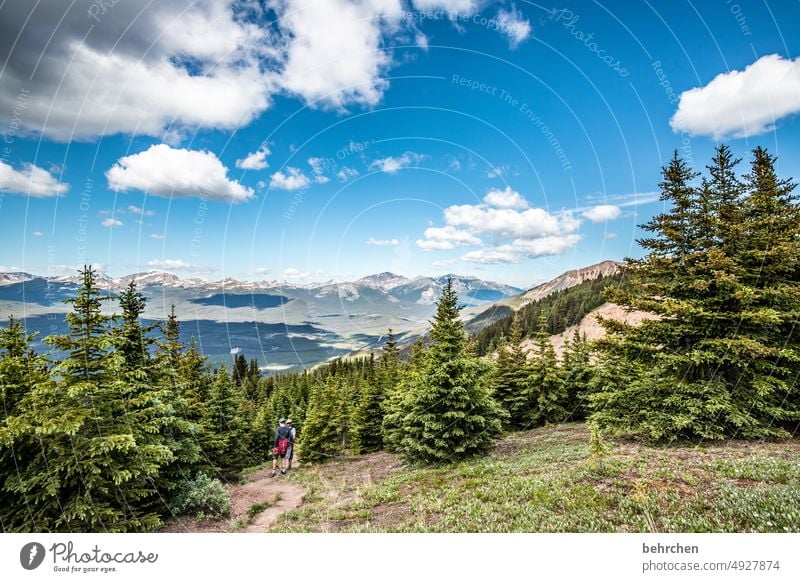 es war einmal in kanada Jasper National Park Wolken wandern Kanada Abenteuer Berge u. Gebirge Wald Bäume Landschaft Nordamerika Rocky Mountains Fernweh Ferne