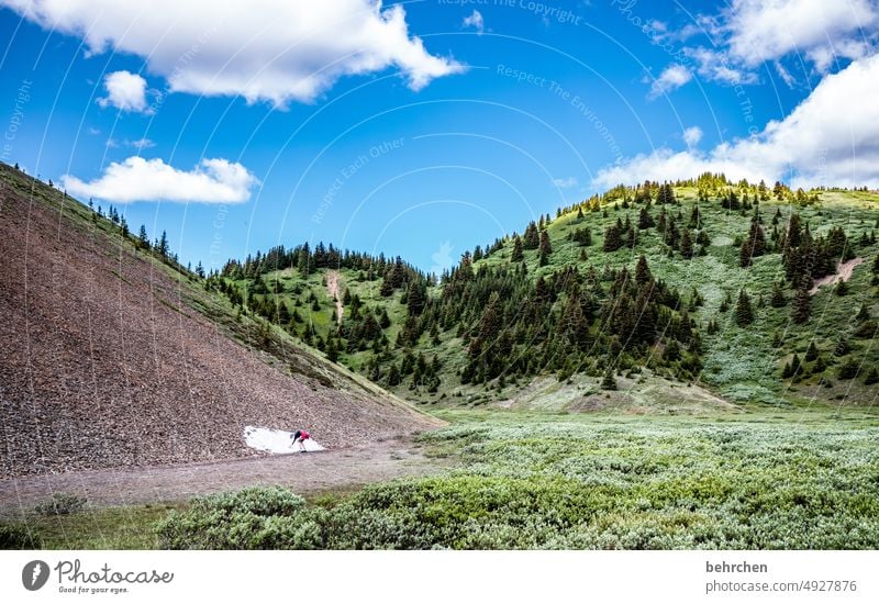 es war einmal in kanada Jasper National Park Wolken wandern Kanada Abenteuer Berge u. Gebirge Wald Bäume Landschaft Nordamerika Rocky Mountains Fernweh Ferne