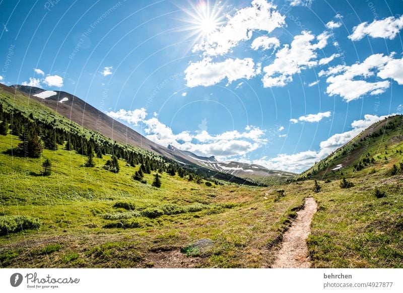 es war einmal in kanada Jasper National Park Wolken wandern Kanada Abenteuer Berge u. Gebirge Wald Bäume Landschaft Nordamerika Rocky Mountains Fernweh Ferne