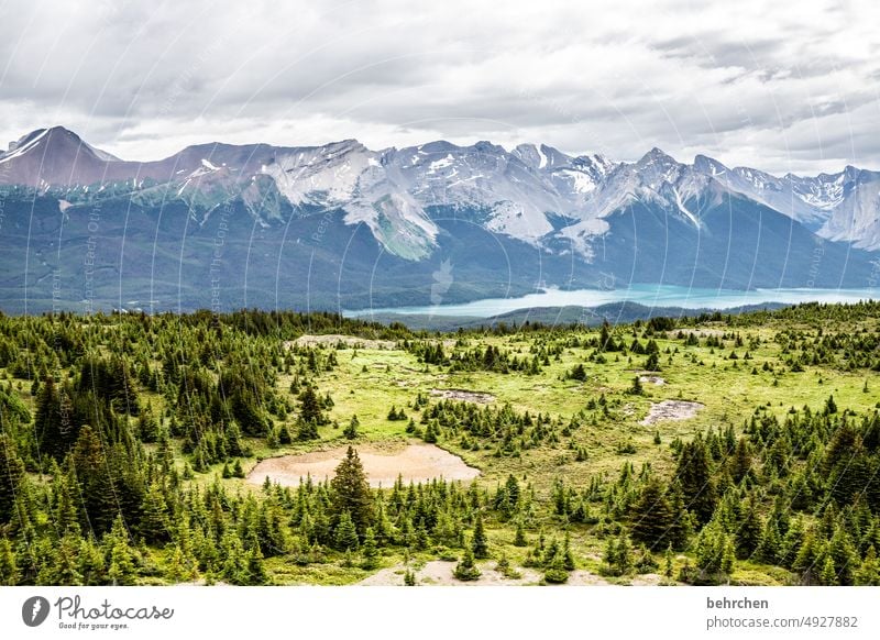 es war einmal in kanada Jasper National Park Wolken wandern Kanada Abenteuer Berge u. Gebirge Wald Bäume Landschaft Nordamerika Rocky Mountains Fernweh Ferne