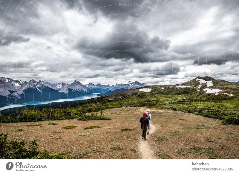 es war einmal in kanada Jasper National Park Wolken wandern Kanada Abenteuer Berge u. Gebirge Wald Bäume Landschaft Nordamerika Rocky Mountains Fernweh Ferne