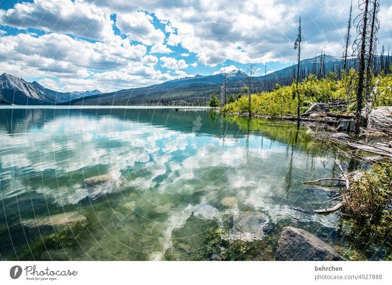 spiegeleigeschichten Reflexion & Spiegelung weite Bergsee beeindruckend Medicine Lake Ferne Fernweh besonders Ferien & Urlaub & Reisen fantastisch Natur