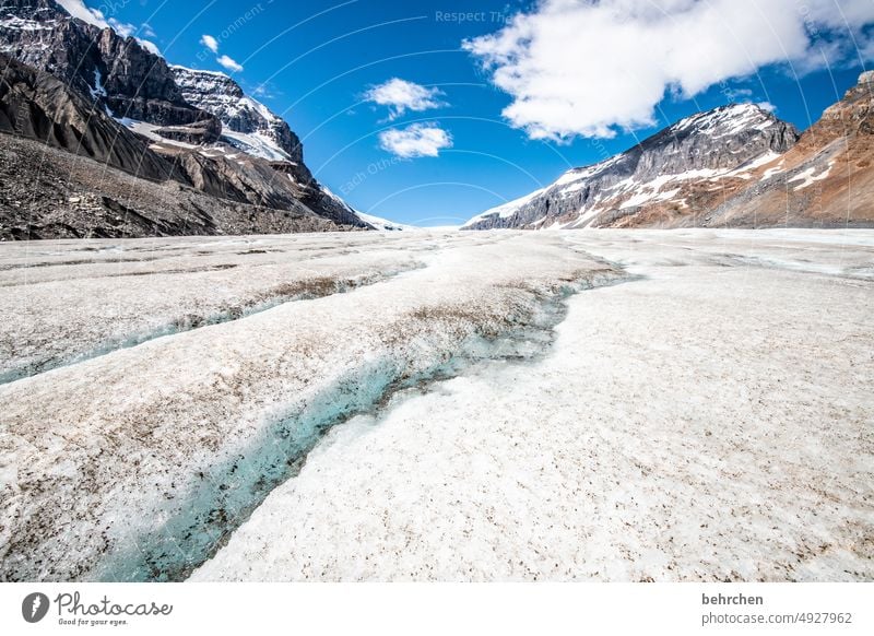 der anfang vom ende | unser erbe! Wasser Icefields Parkway Felsen Ferne Fernweh Alberta fantastisch besonders Tourismus Ferien & Urlaub & Reisen Außenaufnahme