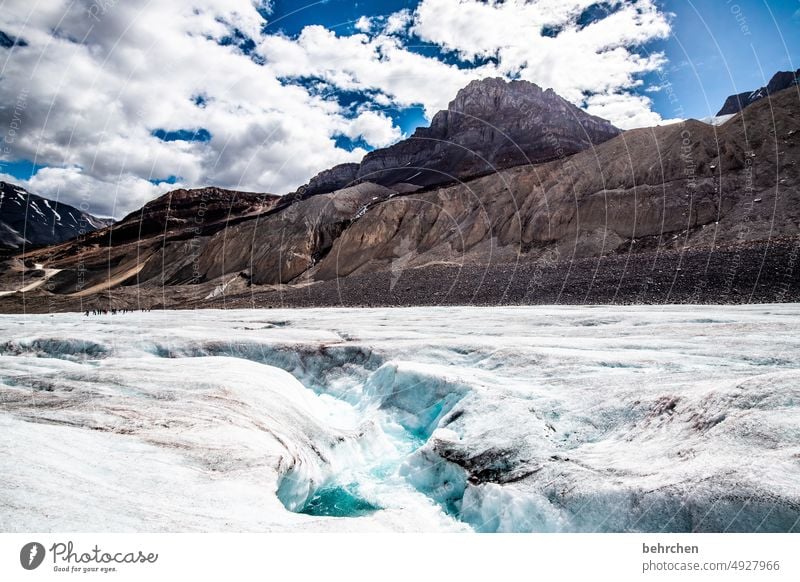 eisspalte Klima Klimawandel Kälte Klimaschutz Eiskristall Umweltschutz kalt beeindruckend Banff National Park Icefield Parkway Gletscher Athabasca Glacier