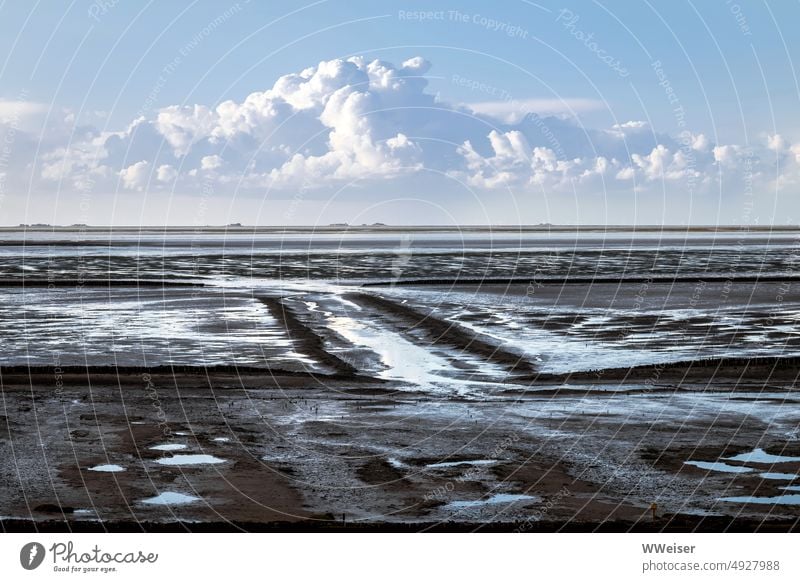 Ebbe. Watt. Wolke. Nordsee Wasser Gezeiten Matsch Schlick nass Pfützen Strand Sand zurückweichen Horizont Himmel Strukturen Landschaft See Wattenmeer Meer Küste