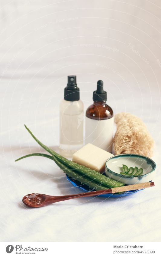 Produkt-Mockup-Foto, das ein Schönheits- und Hygieneprodukt mit Aloe Vera für einen nachhaltigen Lebensstil und ethisches Konsumverhalten zeigt ethischer Konsum