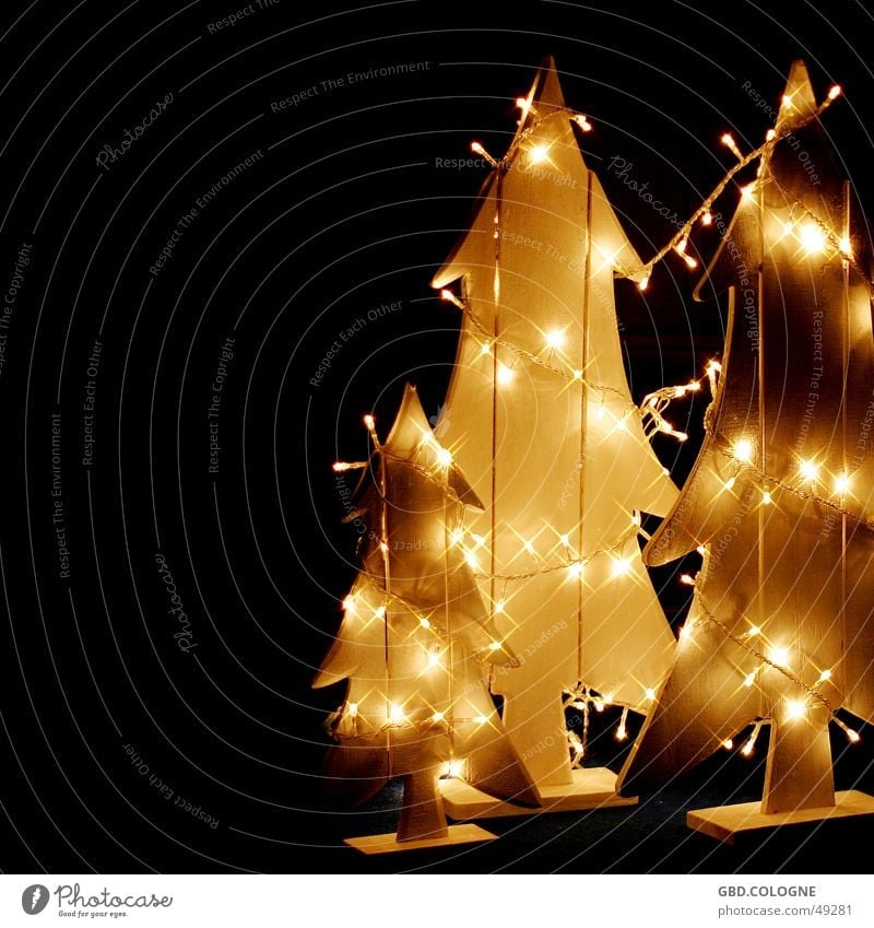 Die Erleuchtung Winter Dekoration & Verzierung Holz gelb Gefühle Stimmung Lichterkette gemütlich Tanne Beleuchtung Weihnachten & Advent Weihnachtsbaum