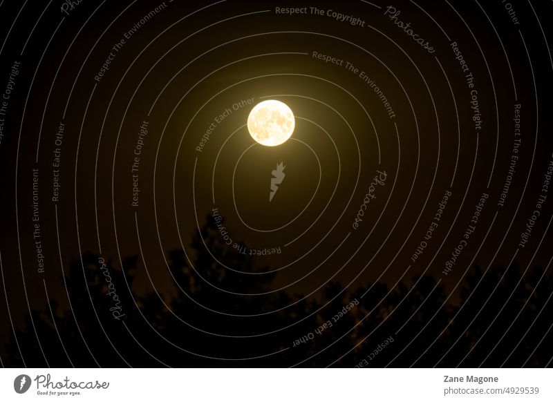 Supermond bei Nacht Mond dunkel glänzend Astrologie Astronomie magisch mystisch beängstigend Abend großer Mond Vollmond Planet Luna Himmelskörper & Weltall