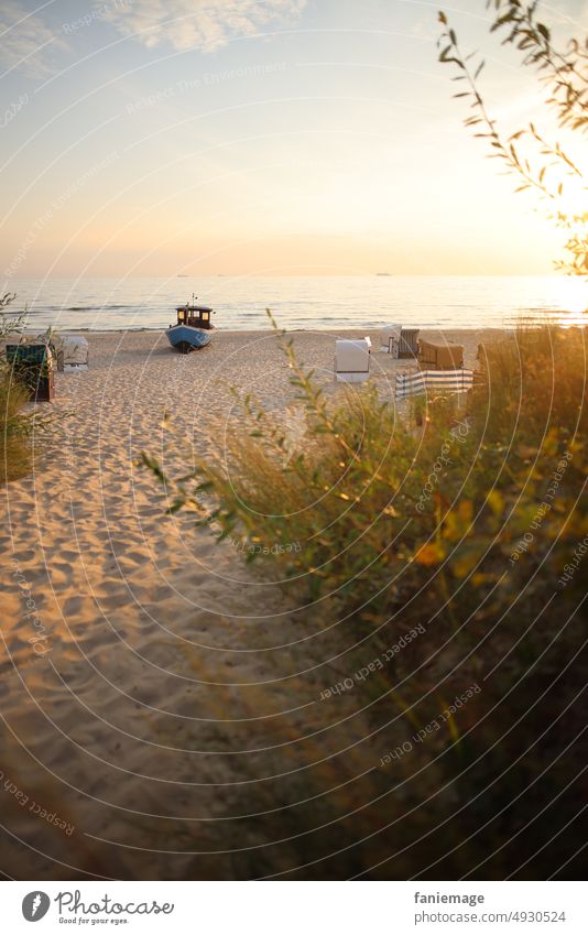 Sonnenaufgang in Heringsdorf Neuhof Meer Sandstrand Düne Boot früh morgens Morgenstimmung warme Farben Sonnenstrahlen Sonnenlicht Ikon ikonisch Usedom Strauch