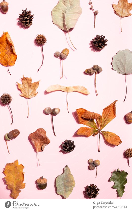 Getrocknete Blätter auf rosa Hintergrund Herbst fallen Blatt Muster sehr wenige