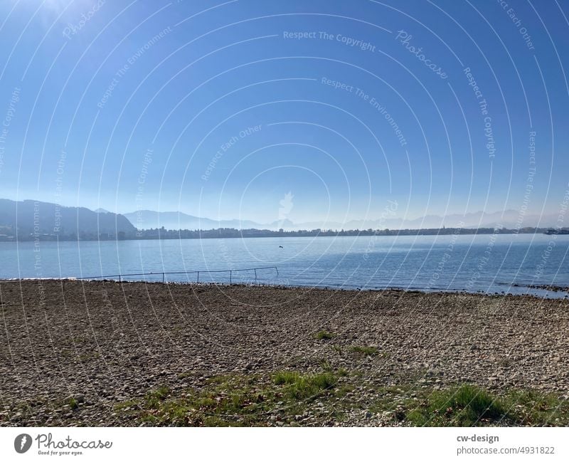 Am Bodensee See blau grün Berge