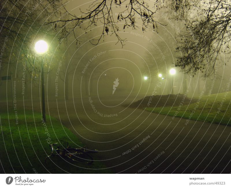 Olympiapark im Nebel - II Nacht dunkel gruselig Straßenbeleuchtung Baum München Langzeitbelichtung