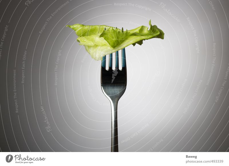 Ein Salatblatt auf der Gabel Lebensmittel Gemüse Salatbeilage Ernährung Diät Fasten Körper Gesundheit Gesundheitswesen Gesunde Ernährung sportlich Fitness