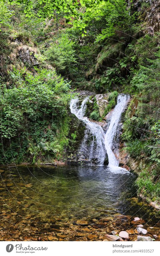 Wasserfall Schwarzwald wasser felsen steine spritzer tropfen nass natur Wassertropfen feucht Nahaufnahme Detailaufnahme beruhigend wasserfall schön klar bergsee