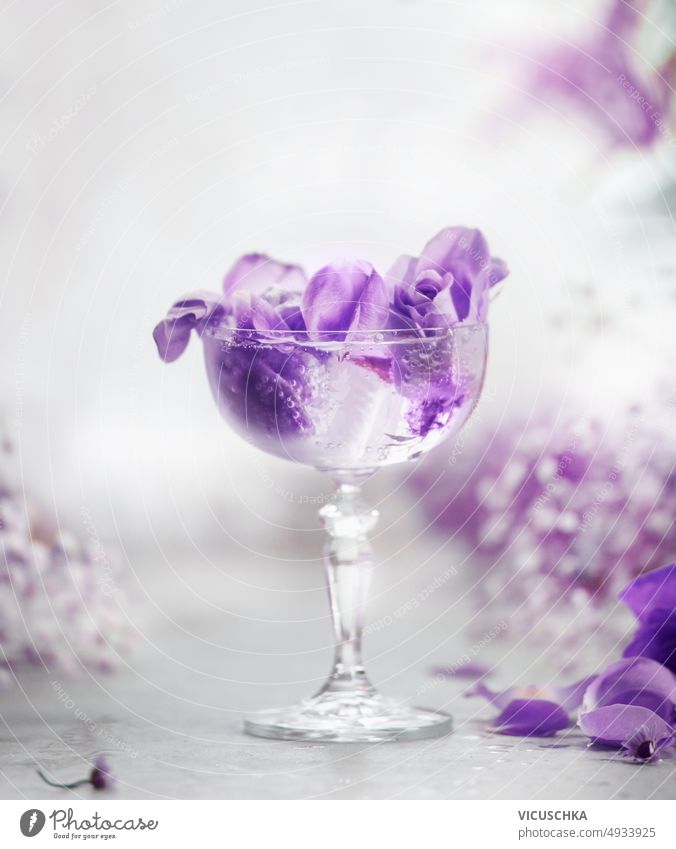 Cocktail Champagnerglas mit lila Blumen auf hellgrauem Tisch Sektglas purpur Licht rosa Weichzeichner vertikal Gläser mit Champagner Blütenblatt romantisch Glas