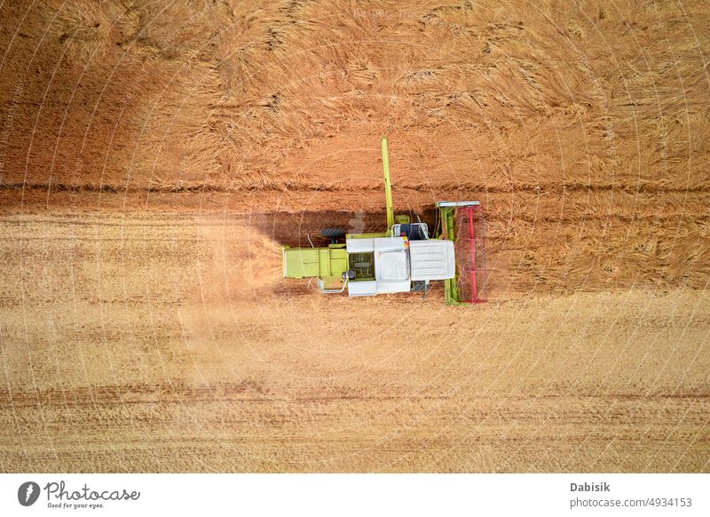 Luftaufnahme eines arbeitenden Mähdreschers in einem Weizenfeld, Erntesaison Feld Antenne Erntemaschine Staubwischen Korn Ackerland Traktor Maschine oben