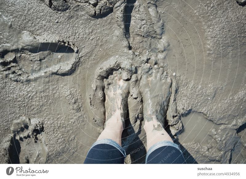 füße im matsch .. was kann's schöneres geben Frau Füße Beine weiblich Matsch Schlick Strand Ebbe Nordsee Meer Wattenmeer Gezeiten Küste Wasser Sand Wattwandern