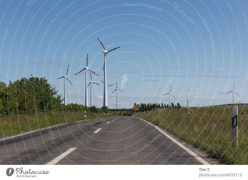 am Horizont einer Landstraße tauchen Windräder auf Brandenburg Energie Windenergie Windkraftanlage Erneuerbare Energie Energiewirtschaft Windrad