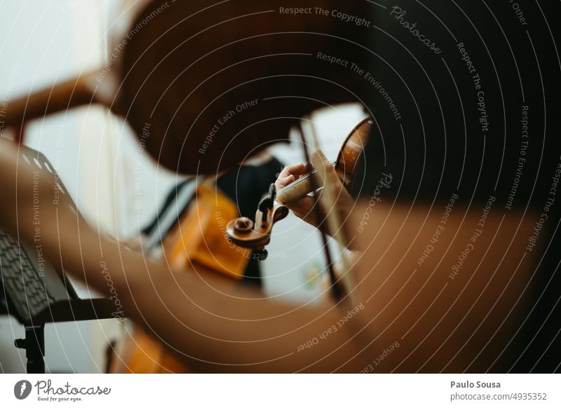 Nahaufnahme Musiker spielt Geige Musikinstrument Musik hören Holz Farbfoto Detailaufnahme Schauplatz musizieren Kunst Saite Orchester Streichinstrumente Konzert