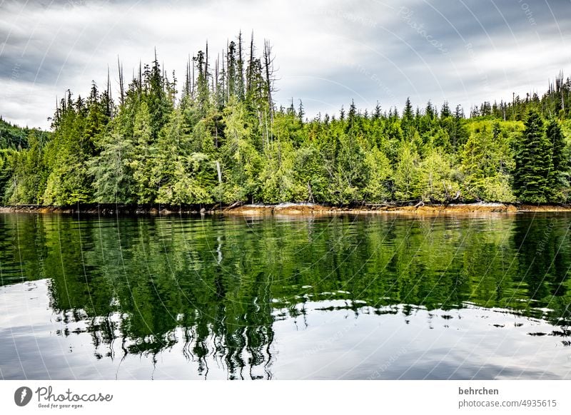 zweierlei Wolken Spiegelung Himmel besonders Natur Küste Landschaft Meer Wald Bäume British Columbia Wasser Abenteuer Kanada Nordamerika Vancouver Island