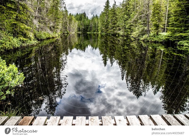 spiegeleigeschichten Idylle stille Ruhe Reflexion & Spiegelung British Columbia See erholen Steg Natur Ferne Fernweh Ferien & Urlaub & Reisen Landschaft