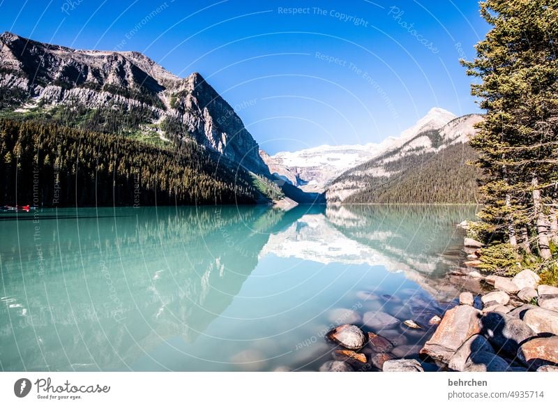 immer wieder kanada Natur Kanada See Alberta Lake Louise Rocky Mountains Nordamerika Bergsee Banff National Park Gletscher