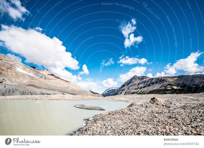 immer wieder kanada Natur Kanada Alberta Nordamerika Gletscher