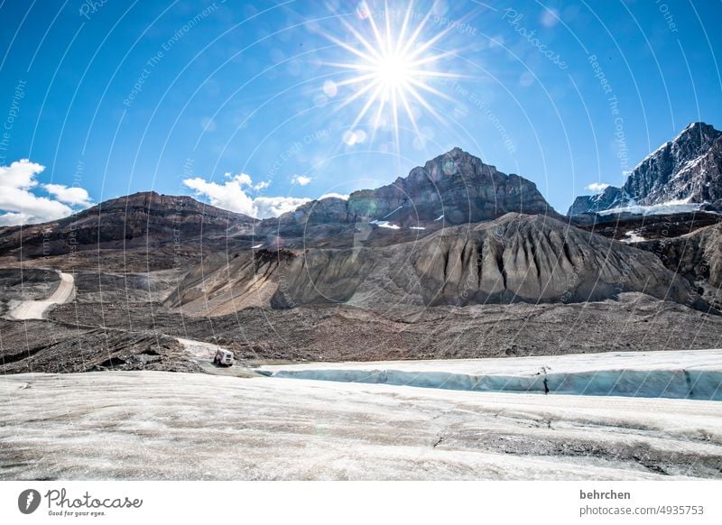 sonnenschein Alberta Himmel Nordamerika Landschaft Kanada Natur Ferne Wald Fernweh Rocky Mountains Ferien & Urlaub & Reisen Schnee Icefield Parkway Sonne