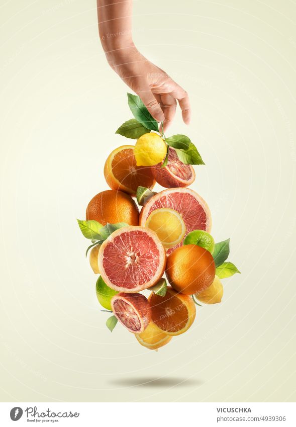 Frauenhand und verschiedene fallende Zitrusfrüchte mit grünen Blättern auf blassbeigem Hintergrund. Hand grüne Blätter Grapefruit Zitrone orange Kalk fliegen
