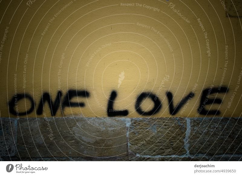 Eine Liebe, auf einer Mauer gesprüht in schwarzen Buchstaben. Freude Nahaufnahme Außenaufnahme Fassade Farbfoto Menschenleer Wand Schriftzeichen Text