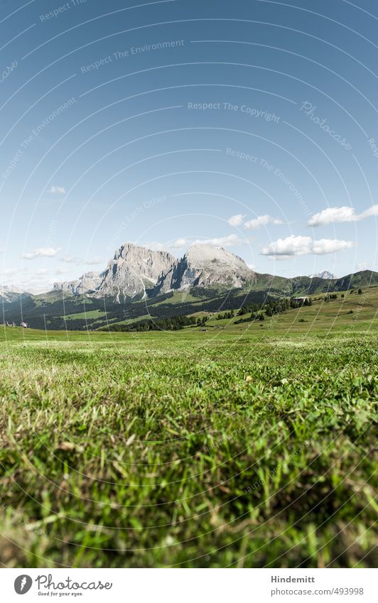 Saftig Himmel Wolken Sommer Pflanze Gras Blatt Wiese Wald Hügel Felsen Alpen Berge u. Gebirge Gipfel stehen dehydrieren Wachstum eckig fest gigantisch groß hoch