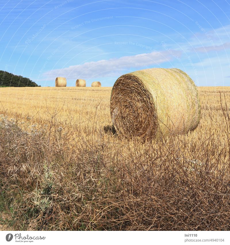 Strohballen auf dem Feld Sommer Landwirtschaft Nutzfläche Erntezeit Getreidefeld Rollen Gebinde Futtermittel Tierstreu Dämmstoff Biokraft Hanglage Himmel Wald